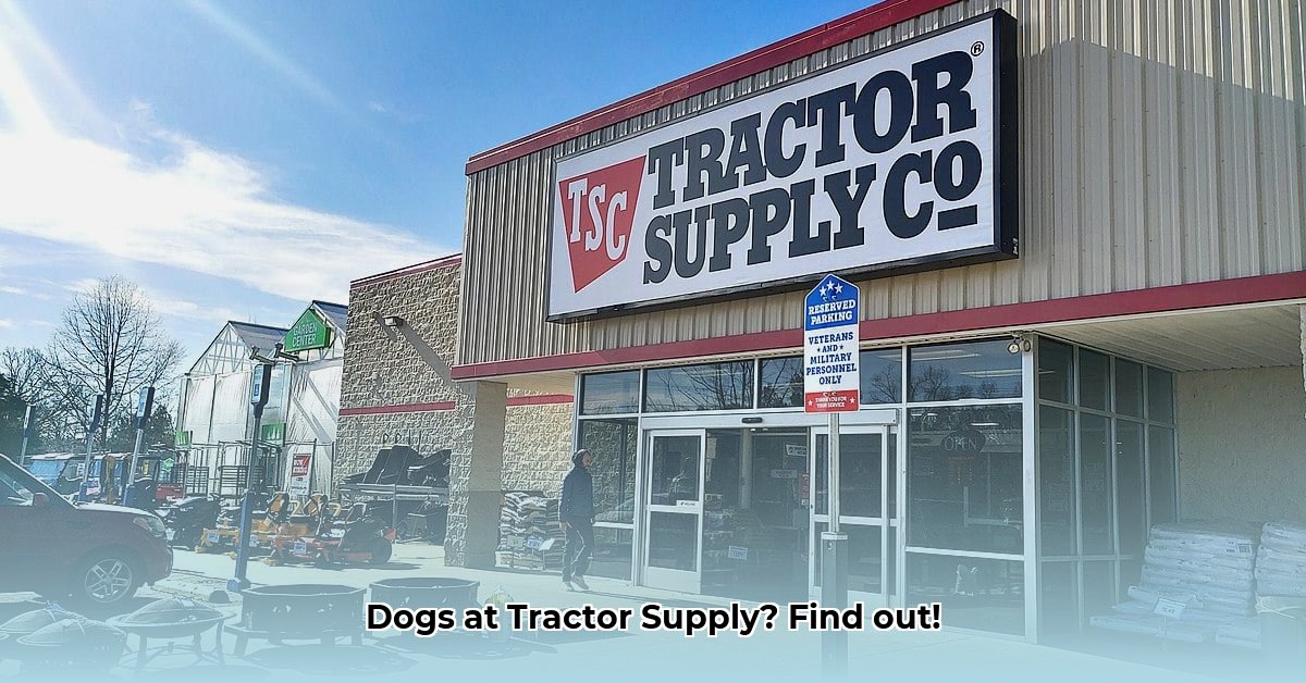 can-i-take-my-dog-to-tractor-supply